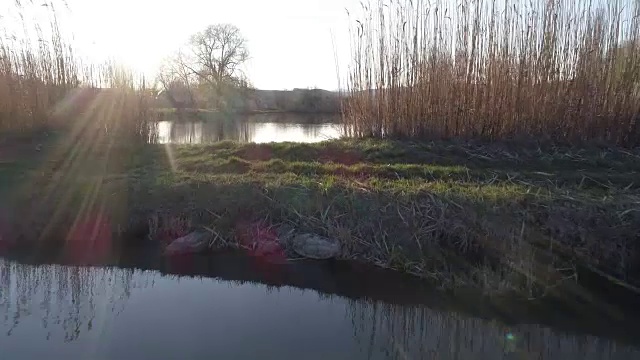 在一个阳光明媚的日子，从湖边起飞，面朝太阳，靠近一个小钓鱼湖在Sarisap，匈牙利