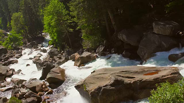 平移顶部视图的风景白水野生河运行通过森林