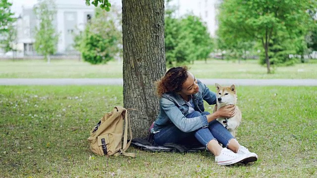 善良的非洲裔美国女孩抚摸着美丽的日本柴犬，坐在公园的草地上，树下的城市景观在背景中可见。