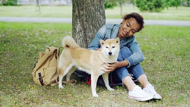 一个漂亮的混血女人正折腾她的宠物狗休息在草地上的公园在温暖的夏天。美丽的绿色草坪，老树和背包可见。