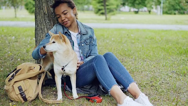 漂亮的混血女孩是爱抚可爱的日本柴犬，并与它温柔地在公园休息周末。人与动物之间的友谊观念。