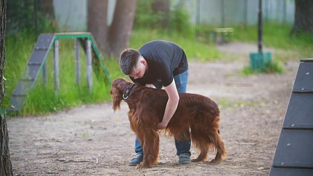 一个年轻人在夏天的公园里抱着一只爱尔兰猎犬