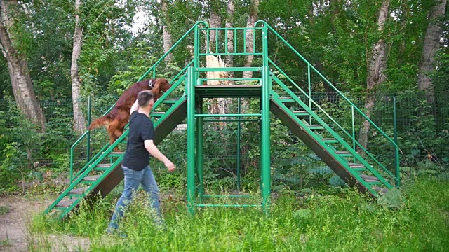 年轻的雄性训犬员在夏季公园户外的楼梯上训练他的狗