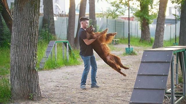 一个快乐的年轻人在夏季公园的操场上挥舞着一只红色的爱尔兰猎犬