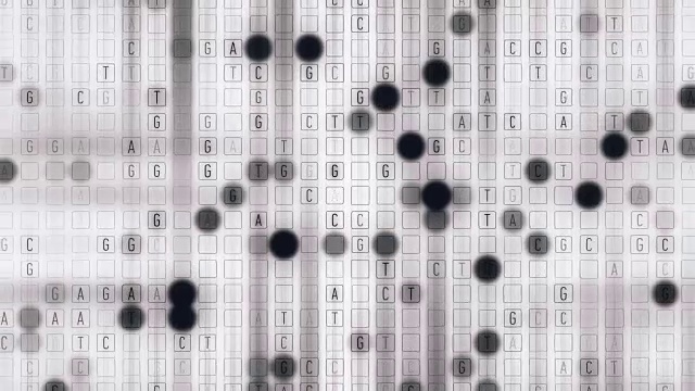 DNA ACGT网格