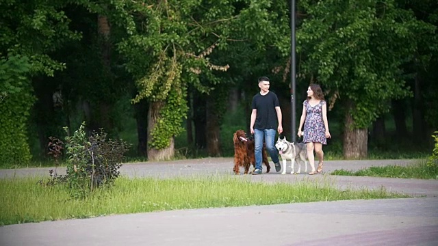 一对夫妇带着宠物在公园里散步——男人和女人带着爱尔兰猎犬和哈士奇散步