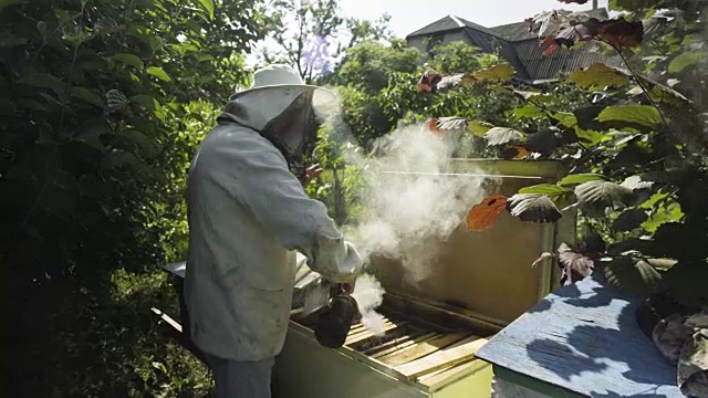 养蜂人用熏蜂器熏蜂箱